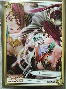 三国志大戦tcg　孫策　限定スリーブ　宴 Amazon.co.jp: 三国志大戦TCG 感謝の宴限定スリーブ 鄧艾
